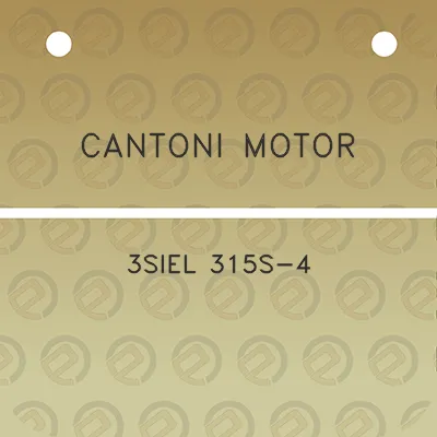 cantoni-motor-3siel-315s-4