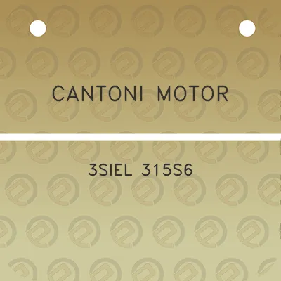 cantoni-motor-3siel-315s6