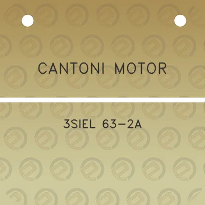 cantoni-motor-3siel-63-2a