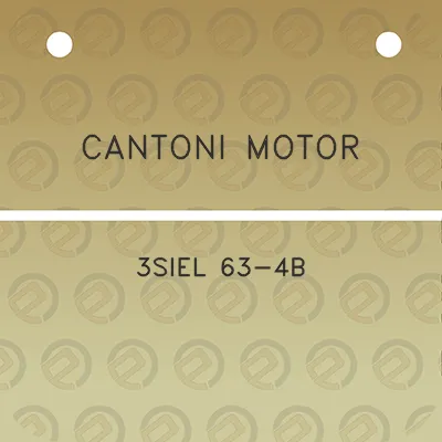 cantoni-motor-3siel-63-4b