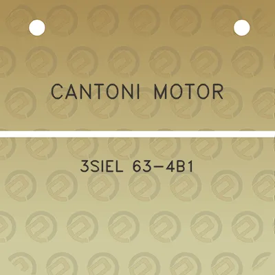 cantoni-motor-3siel-63-4b1