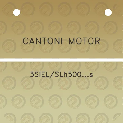 cantoni-motor-3sielslh500s