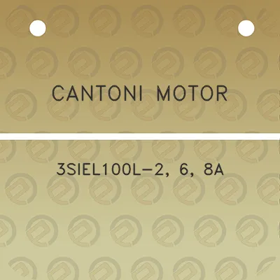 cantoni-motor-3siel100l-2-6-8a