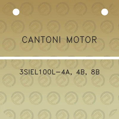 cantoni-motor-3siel100l-4a-4b-8b