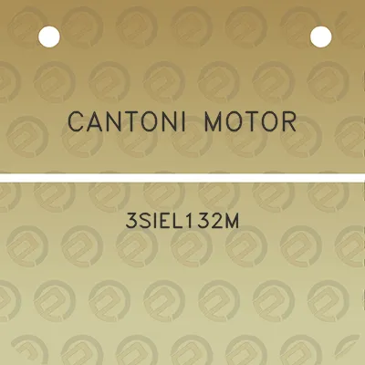 cantoni-motor-3siel132m