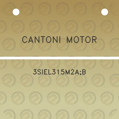 cantoni-motor-3siel315m2ab