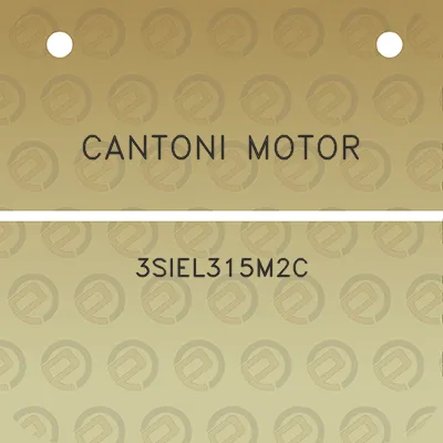 cantoni-motor-3siel315m2c