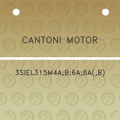 cantoni-motor-3siel315m4ab6a8ab