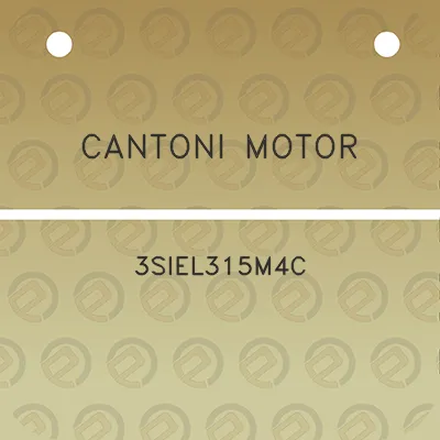 cantoni-motor-3siel315m4c