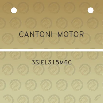 cantoni-motor-3siel315m6c