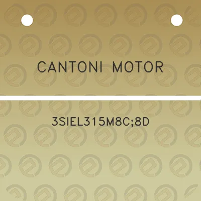 cantoni-motor-3siel315m8c8d