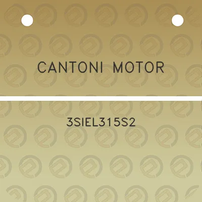 cantoni-motor-3siel315s2