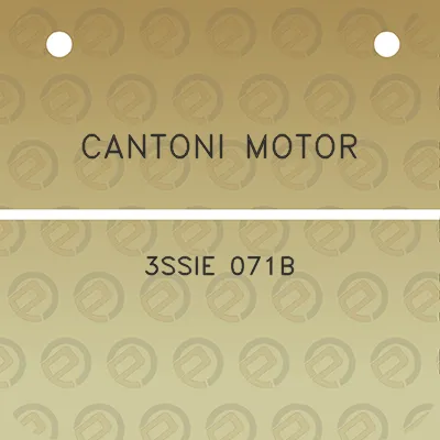 cantoni-motor-3ssie-071b