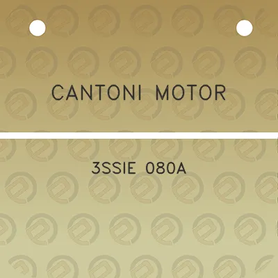 cantoni-motor-3ssie-080a