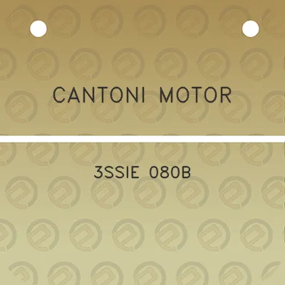 cantoni-motor-3ssie-080b