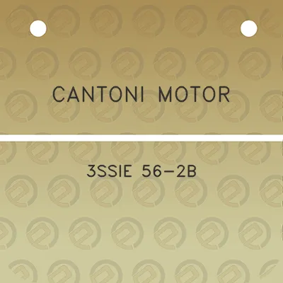 cantoni-motor-3ssie-56-2b