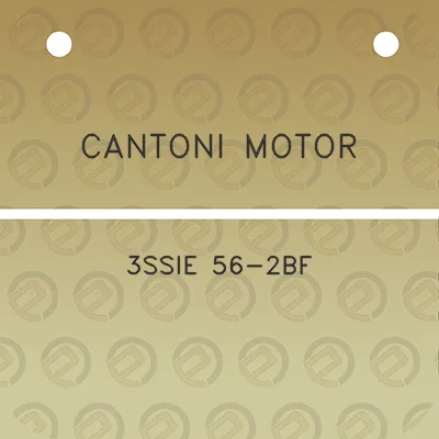 cantoni-motor-3ssie-56-2bf