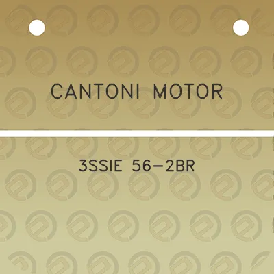 cantoni-motor-3ssie-56-2br