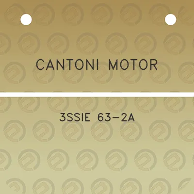 cantoni-motor-3ssie-63-2a