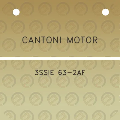 cantoni-motor-3ssie-63-2af