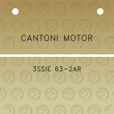 cantoni-motor-3ssie-63-2ar