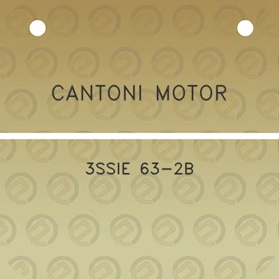 cantoni-motor-3ssie-63-2b