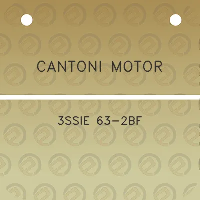 cantoni-motor-3ssie-63-2bf