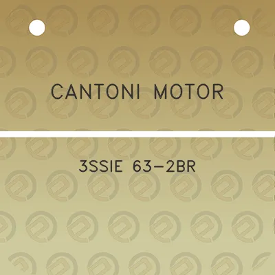 cantoni-motor-3ssie-63-2br