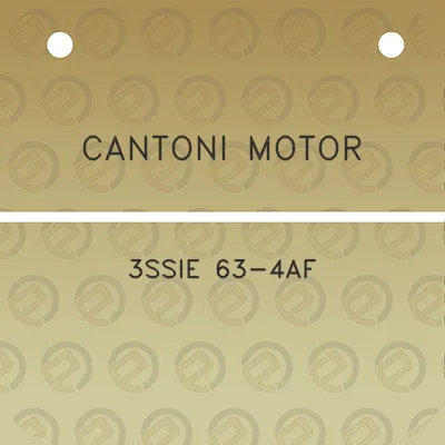 cantoni-motor-3ssie-63-4af