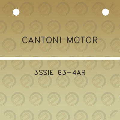 cantoni-motor-3ssie-63-4ar