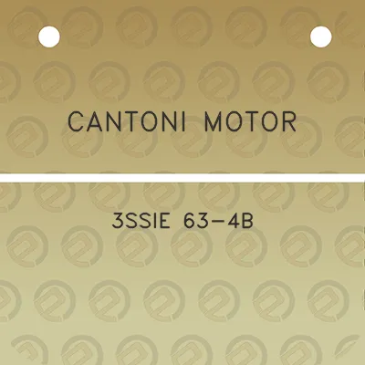 cantoni-motor-3ssie-63-4b