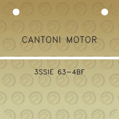 cantoni-motor-3ssie-63-4bf