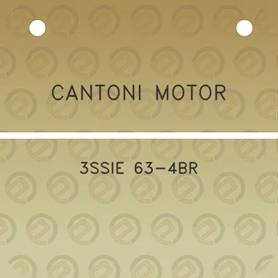 cantoni-motor-3ssie-63-4br