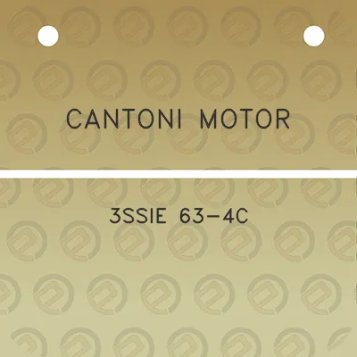 cantoni-motor-3ssie-63-4c