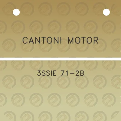 cantoni-motor-3ssie-71-2b