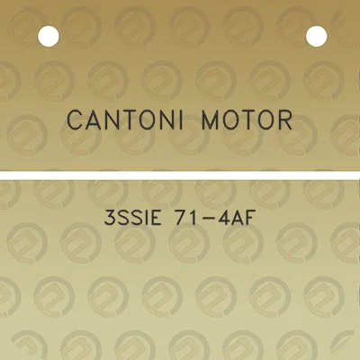 cantoni-motor-3ssie-71-4af