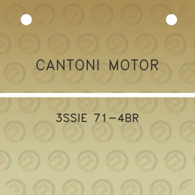 cantoni-motor-3ssie-71-4br