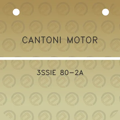 cantoni-motor-3ssie-80-2a