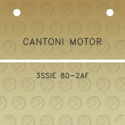 cantoni-motor-3ssie-80-2af