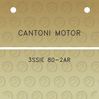 cantoni-motor-3ssie-80-2ar