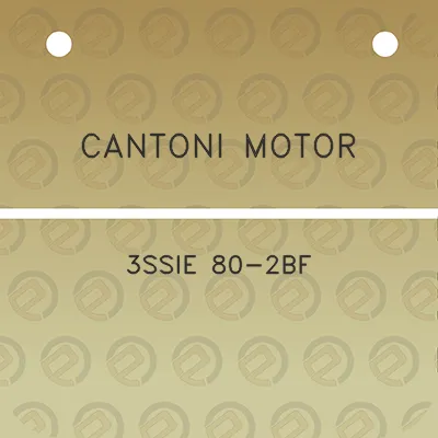 cantoni-motor-3ssie-80-2bf