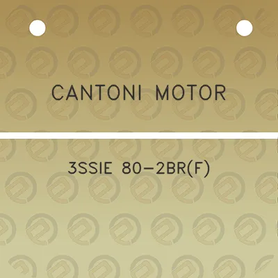 cantoni-motor-3ssie-80-2brf