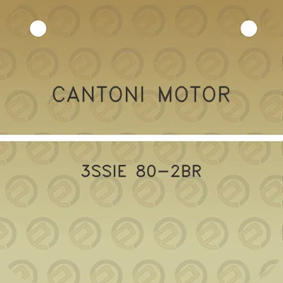 cantoni-motor-3ssie-80-2br