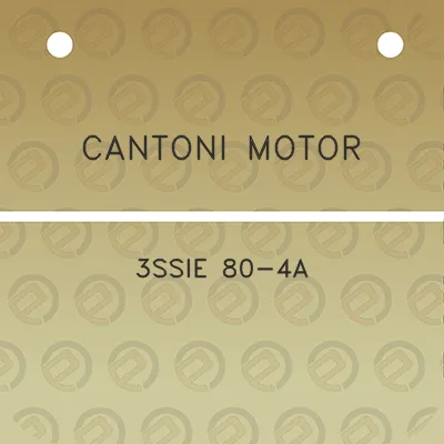 cantoni-motor-3ssie-80-4a