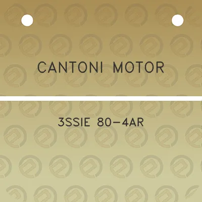 cantoni-motor-3ssie-80-4ar