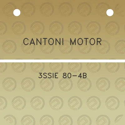 cantoni-motor-3ssie-80-4b