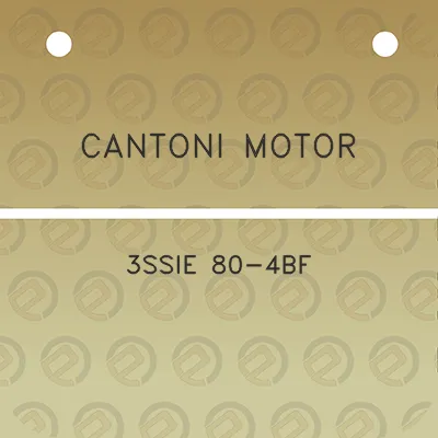 cantoni-motor-3ssie-80-4bf