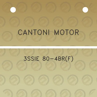 cantoni-motor-3ssie-80-4brf