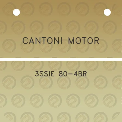 cantoni-motor-3ssie-80-4br