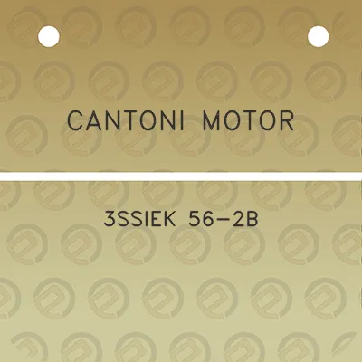 cantoni-motor-3ssiek-56-2b